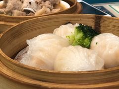 水晶鲜虾饺-香港新曜记茶餐厅(万泰城店)