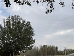 -敦煌莫高窟