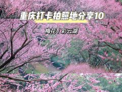 -重庆彩云湖湿地公园