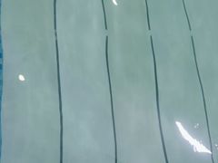 -小蓝鲸游泳培训基地(积水潭店)