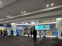 -重庆际华园室内极限运动中心