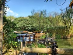 -溱湖国家湿地公园