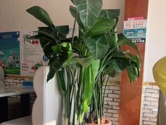 -颐香园家常菜(颐和园店)