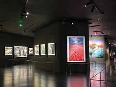 -罗红摄影艺术馆