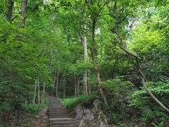 -九曜山