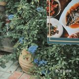 九河香舍｜传承津派匠心，复活民国味蕾｜津城脉搏，津菜精髓｜