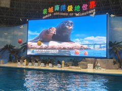 -泉城欧乐堡海洋极地世界