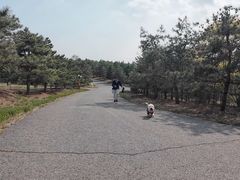 -青龙湖公园