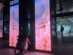 -中国湿地博物馆