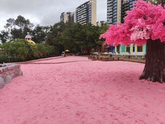 -龙凤山庄影视度假村