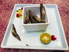 -欢乐海岸美食联盟