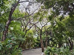 -孙文西路步行街