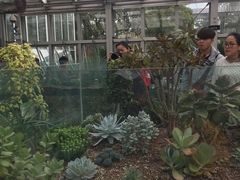 -上海植物园-4号门售票处
