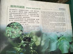 -太鲁阁公园