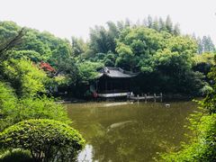 -汇龙潭