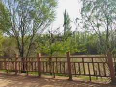 -伊犁河景区