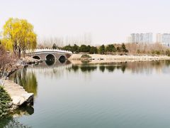 -大兴滨河森林公园