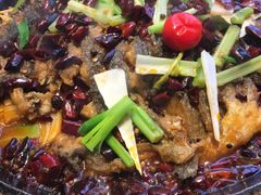 -老板恋上鱼(恒隆广场店)