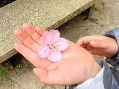 -南山植物园