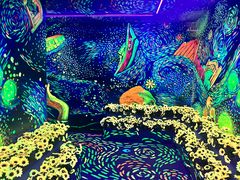 -梵高星空艺术馆(北京旗舰店)