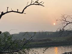 -同里湖大饭店-怡景轩中餐厅(同里古镇店)
