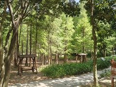 -广州市帽峰山景区