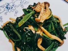 小蘑菇调菠菜-西北45°(世茂广场店)