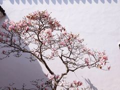 -耦园