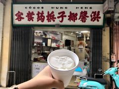 -洪馨椰子