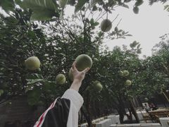 -安仁古镇