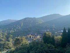 -树山生态村