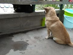 -成都中医药大学(温江校区)