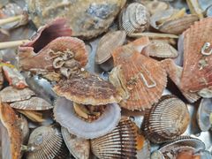 -富临港·蒸汽海鲜·手抓海鲜·炒菜(栈桥店)