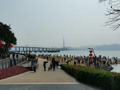-深圳湾公园(南山区)