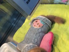 -百盛(莘庄店)