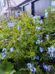 -今日陶艺(富力广场店)