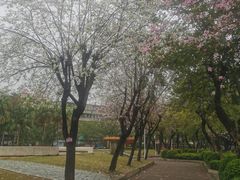 -金砂公园