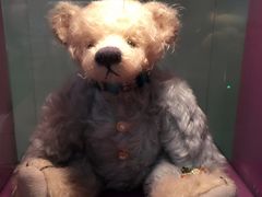 -济州岛泰迪熊博物馆