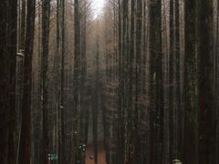 -山王坪喀斯特国家生态公园