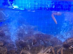 -福禧荟·海鲜自助