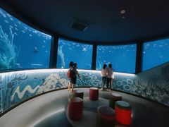 -沈阳海洋探索中心