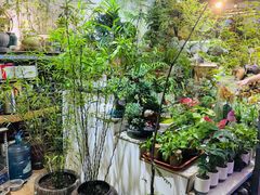 -花鸟鱼虫鲜花绿植市场(玉泉路店)