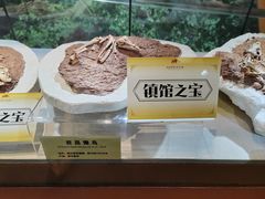 -河南自然博物馆