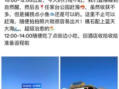 -巧克力渔家.小船海鲜胶东菜(万平口店)