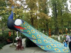 -成飞公园