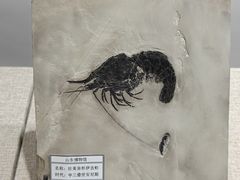 -烟台市博物馆