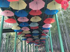 -陶祖圣境风景区