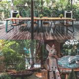 咖啡日记｜曼谷人气高颜森系法式Cafe