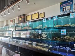 水产区-南海渔家•海鲜•正宗海南菜(海棠湾店)
