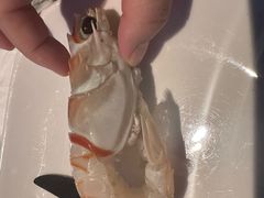 -亚特兰蒂斯•OSSIANO奥西亚诺海底餐厅